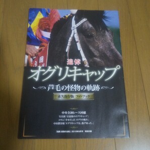 追悼 オグリキャップ 芦毛の怪物の軌跡 永久保存版 フォトブック 競馬最強の法則 2010年9月号 特別付録